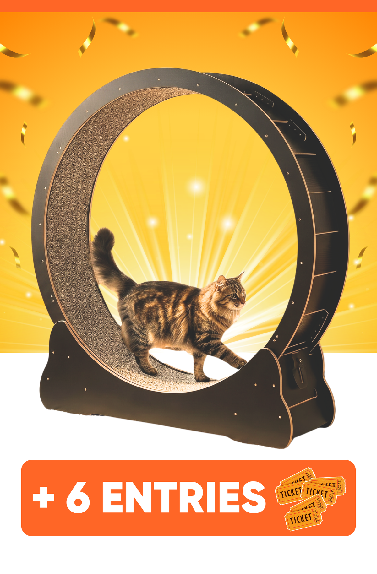 Kitty Wheel Entries