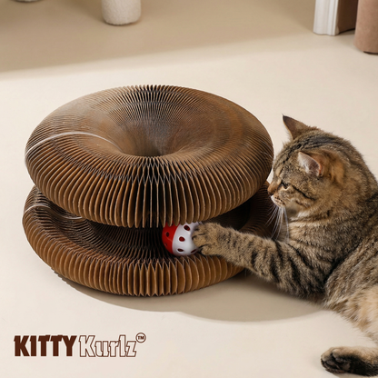 Kitty Kurlz™ [2 Kitty Kurlz + 2 Kurlz Balls]