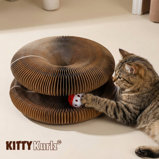 Kitty Kurlz™ [2 Kitty Kurlz + 2 Kurlz Balls]