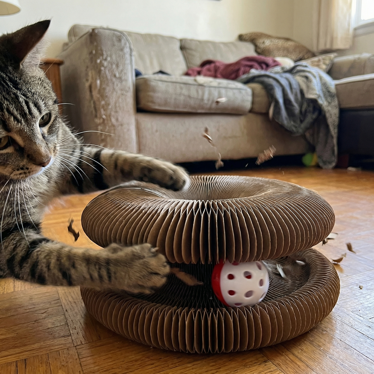 Kitty Kurlz™ [2 Kitty Kurlz + 2 Kurlz Balls]