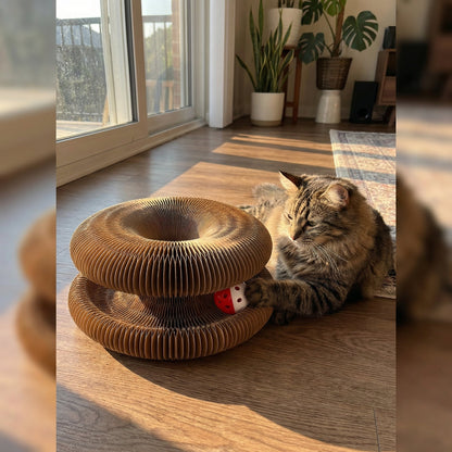 Kitty Kurlz™