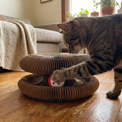 Kitty Kurlz™