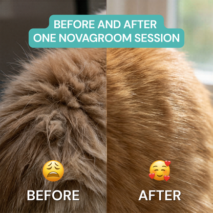 NovaGroom™