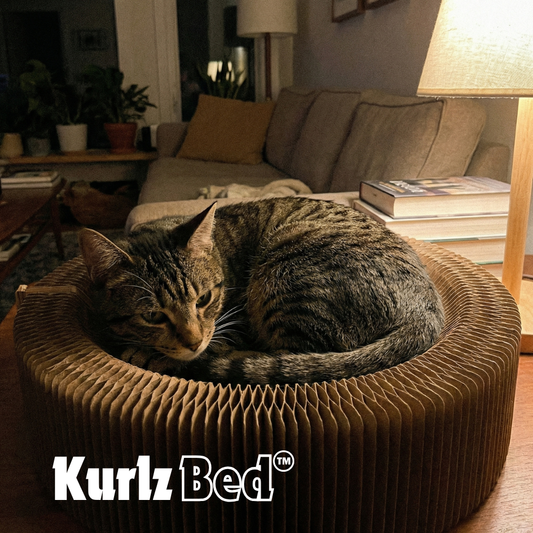 KurlzBed™