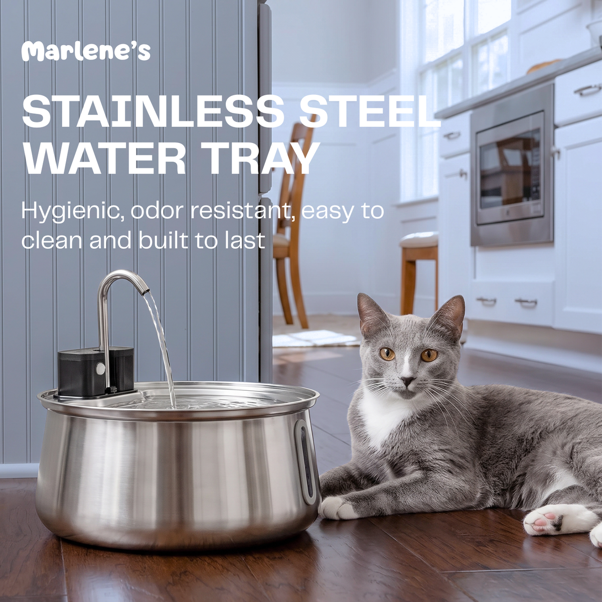 Wireless Stainless Steel Water Fountain + Filters