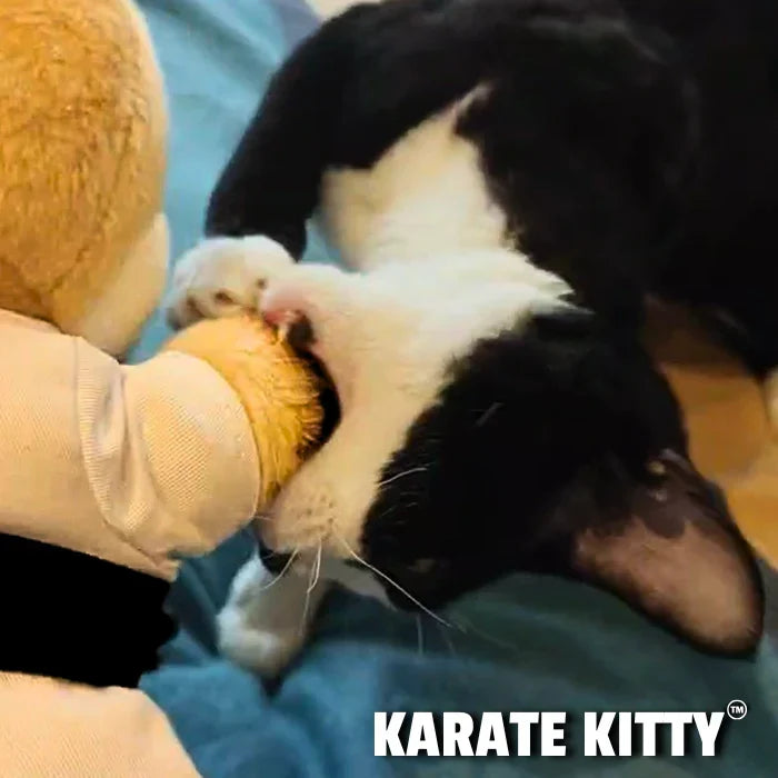 Karate Kitty™