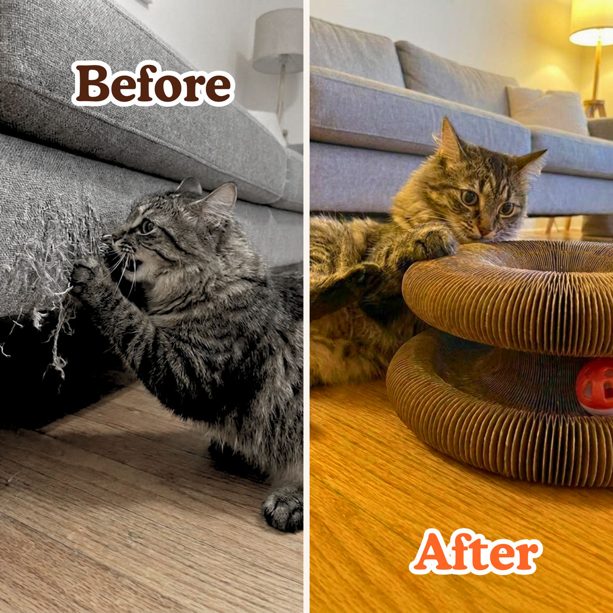 Kitty Kurlz™