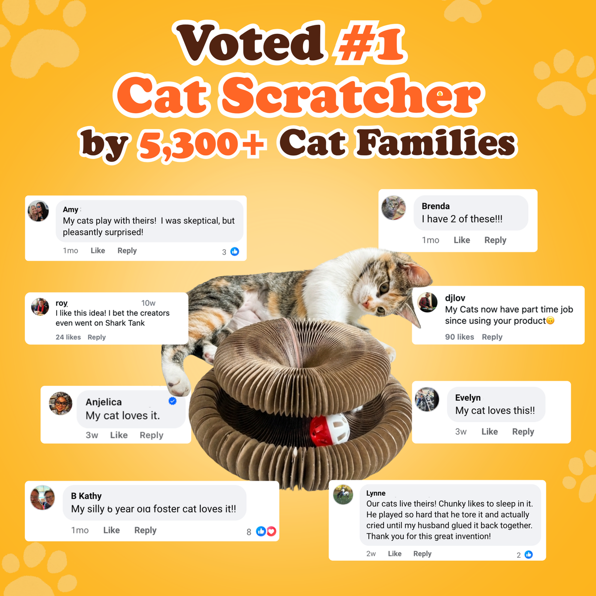 Kitty Kurlz™ (Entries)