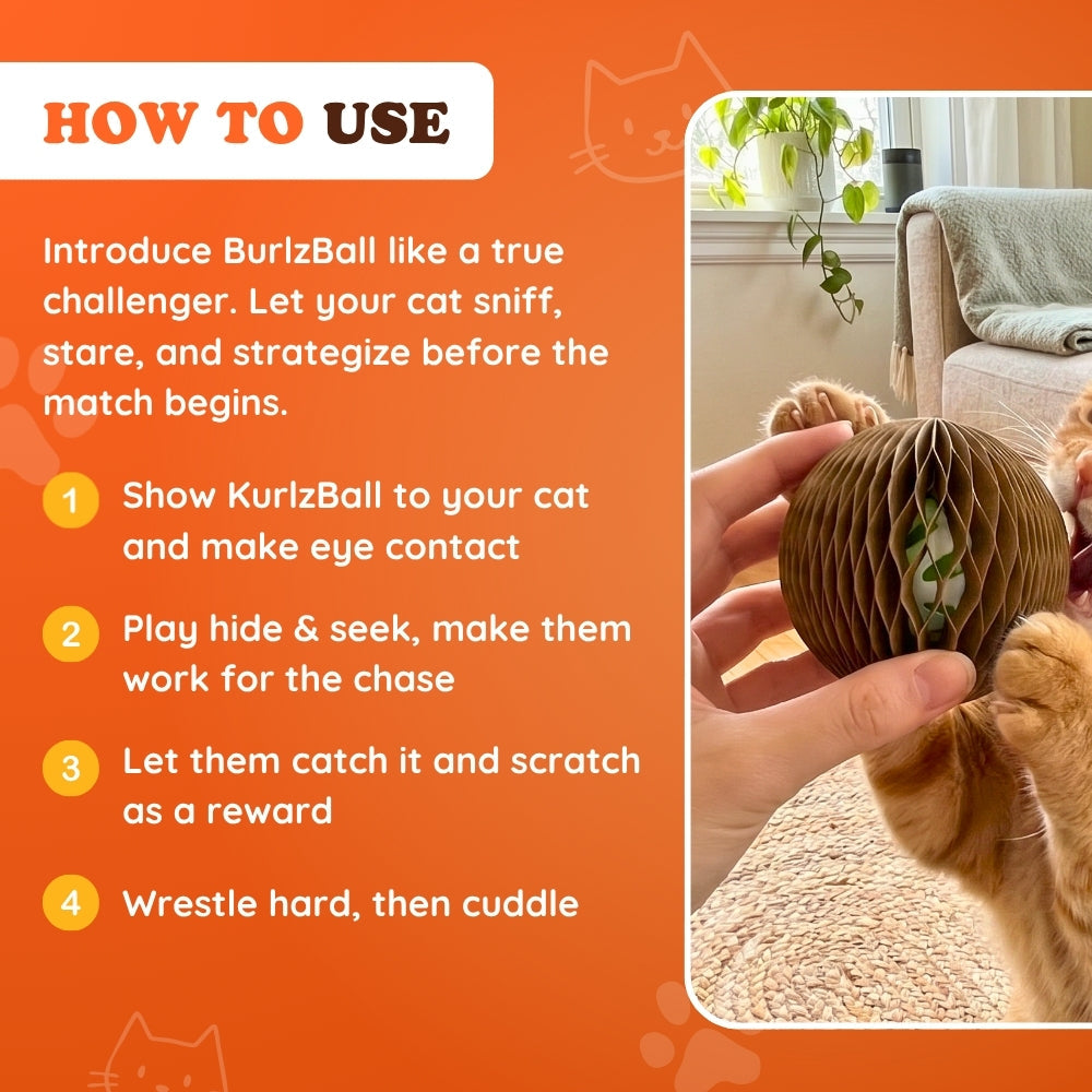 KurlzBall™