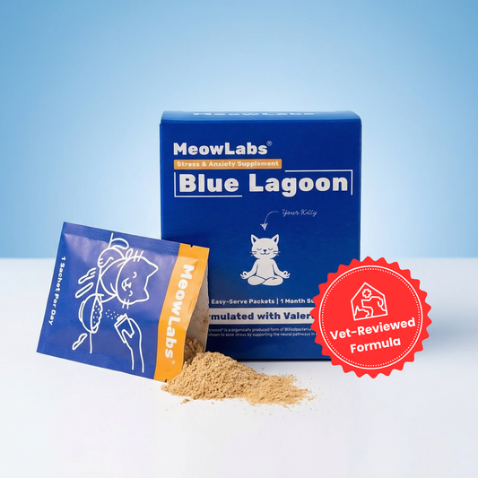 Blue Lagoon™ Probiotic [BUY 2 GET 1 FREE]