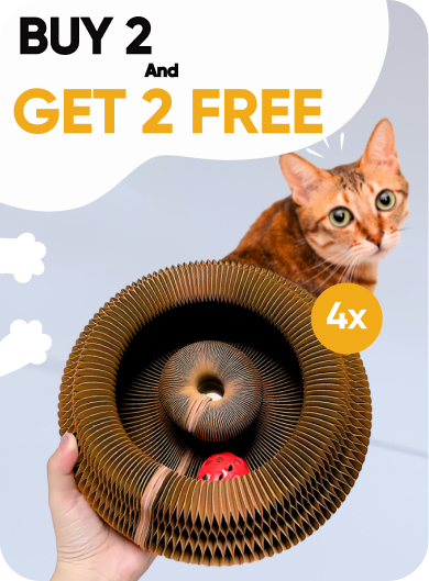 Kitty Kurlz™ [Buy 2 Get 2 Free]
