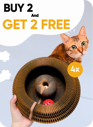 Kitty Kurlz™ [BUY 2 GET 2 FREE]