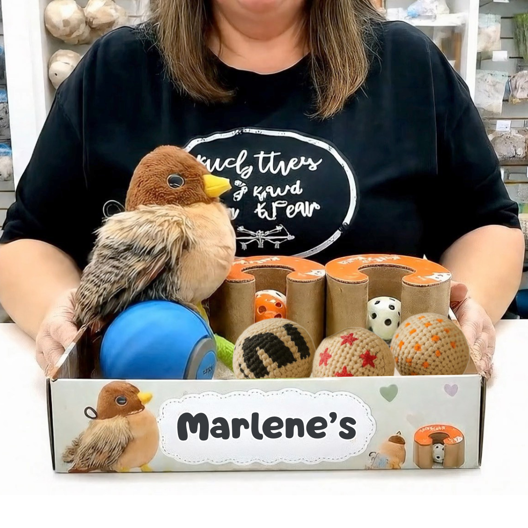 Marlene's Monthly Bundle