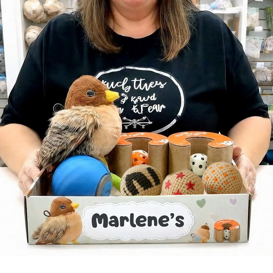 Marlene's Monthly Bundle