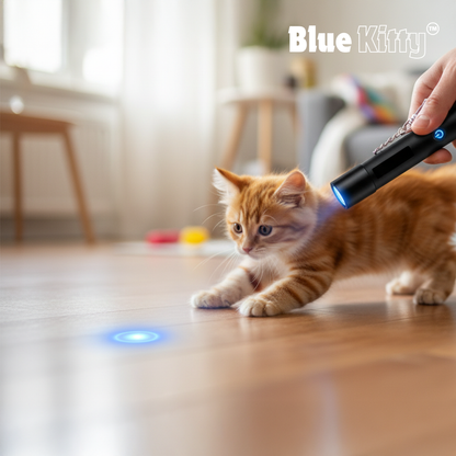 Blue Kitty™