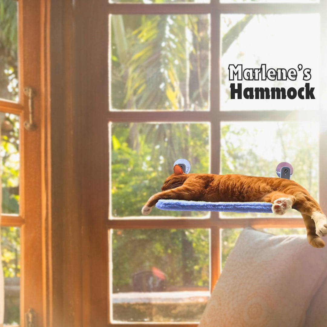 Marlene’s Signature Hammock™: [Buy 1]