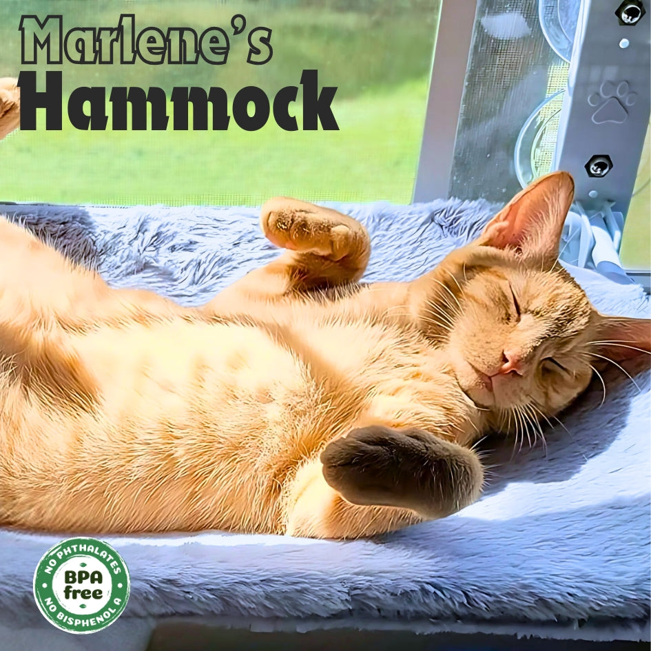 Marlene’s Signature Hammock™: [Buy 2]