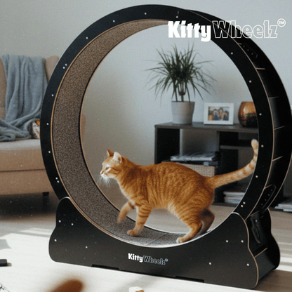 Kitty Wheelz