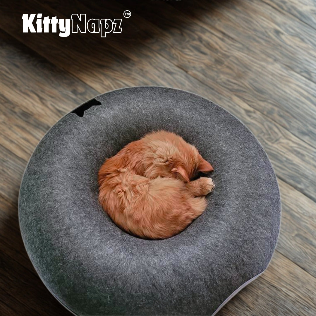 Kitty Napz™ Scratch Cave