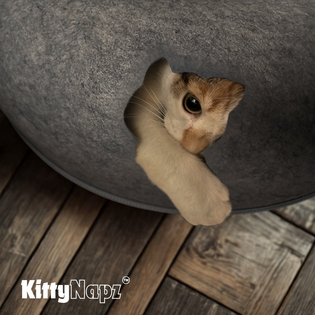 Kitty Napz™ Scratch Cave