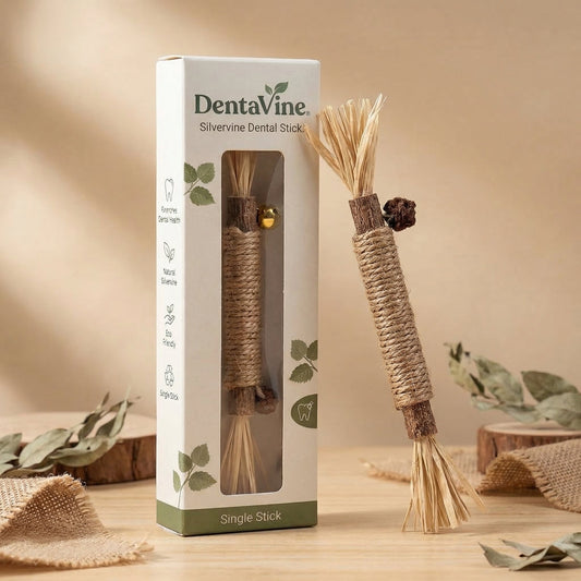 DentaVine™ [Buy 5 Get 5 Free]