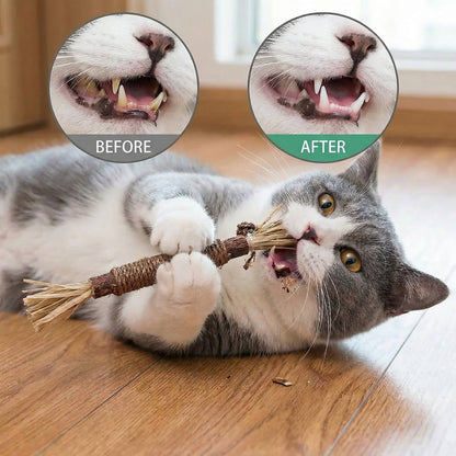 DentaVine™ (Silvervine Dental Stick) [5 Pack]