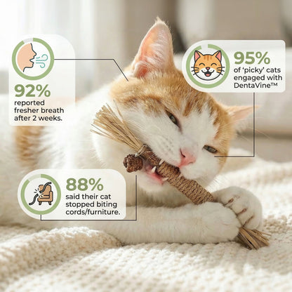 DentaVine™ [Silvervine Dental Stick]