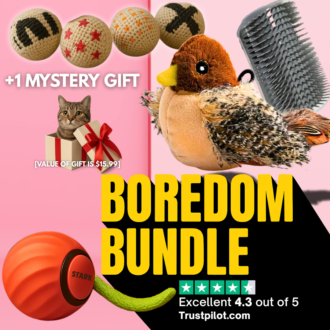 [June's Special Deal] Boredom Bundle